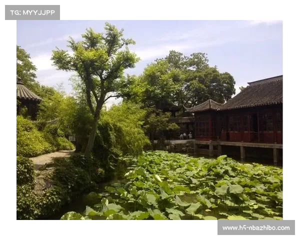 体育新闻标题制作艺术:从“蕊折”到“姑苏城外韩3-4”的经典案例